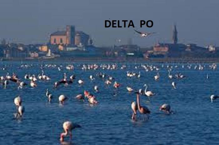 Mipro Mobilhome Lido di Spina Exteriér fotografie